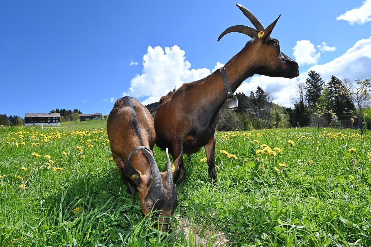 Bauernhof Bilgeri Villa Hittisau Esterno foto