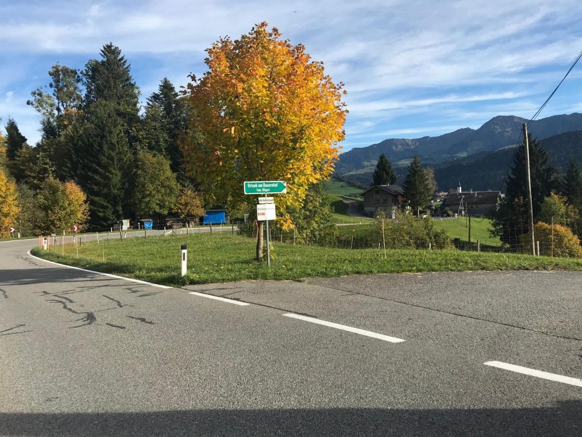 Bauernhof Bilgeri Villa Hittisau Esterno foto