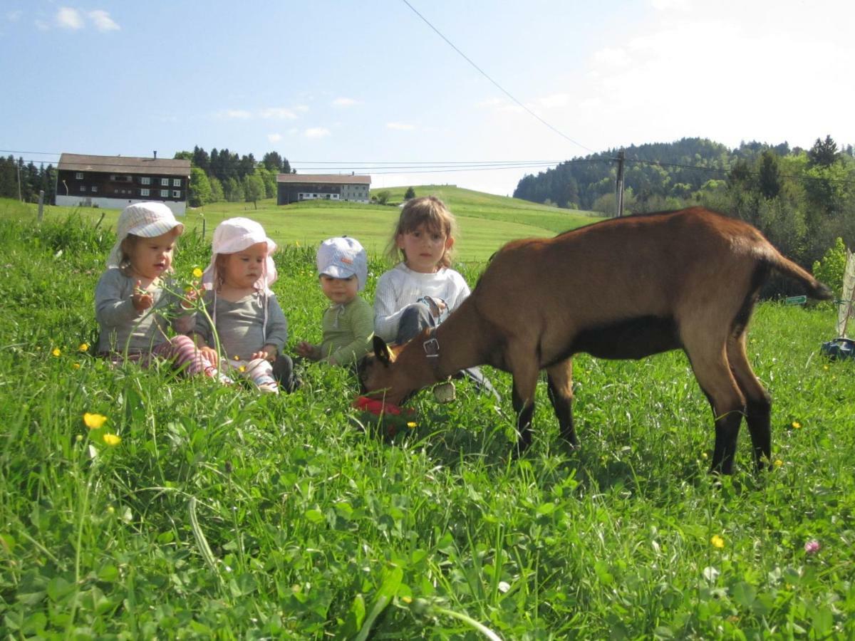 Villa Bauernhof Bilgeri Hittisau Esterno foto