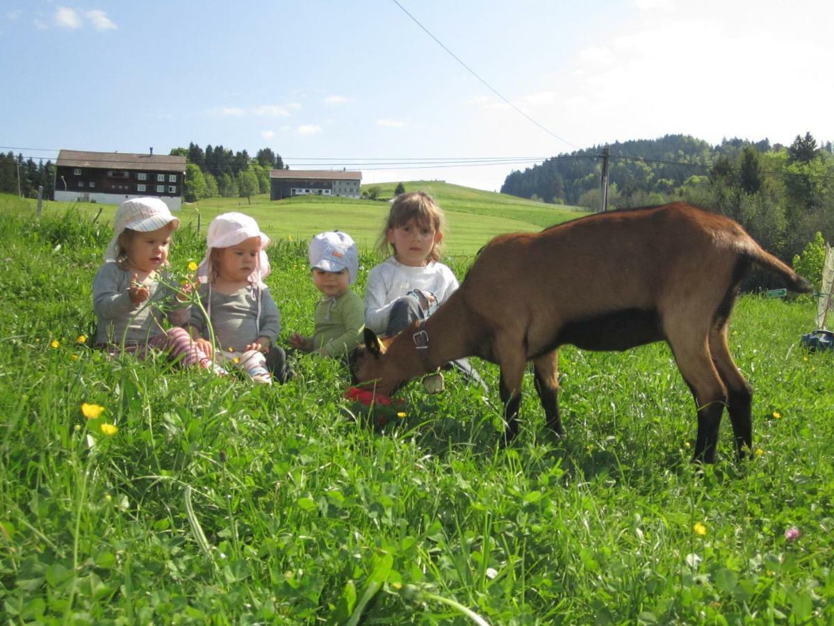 Bauernhof Bilgeri Villa Hittisau Esterno foto